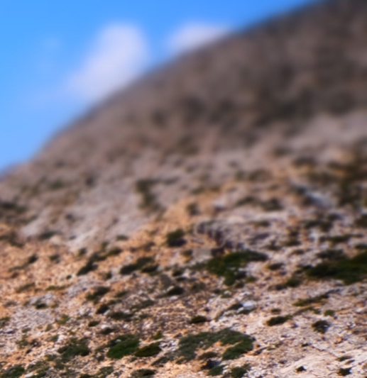 每个人都有美的一面