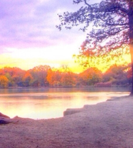 香港公证深圳办事处