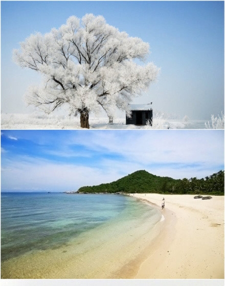 深圳市公证证处