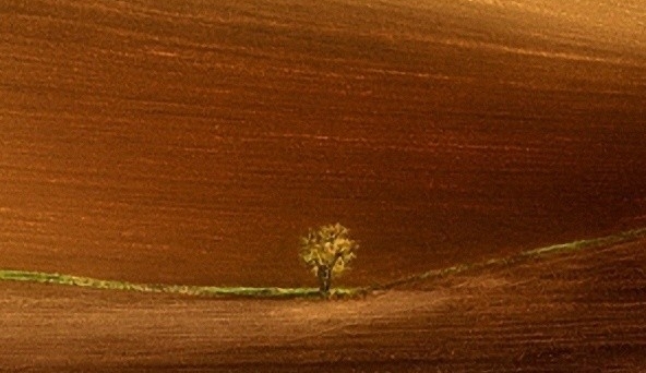 十字架上被钉死的耶稣项链能带吗