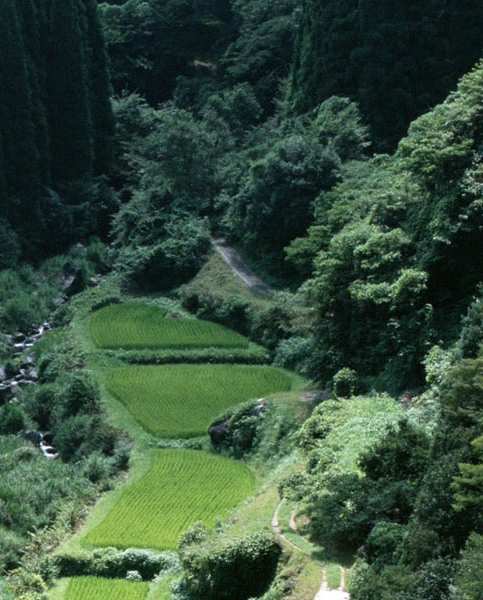 路虎极光油耗是多少