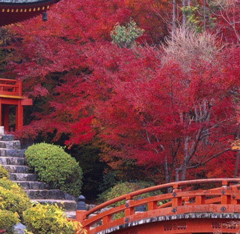 滚装船和集装箱船的区别