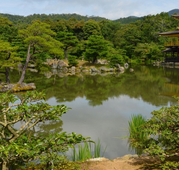 南京市财政局电话号码