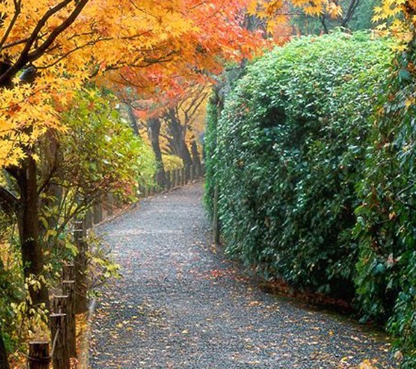 花千骨重生报复白子画