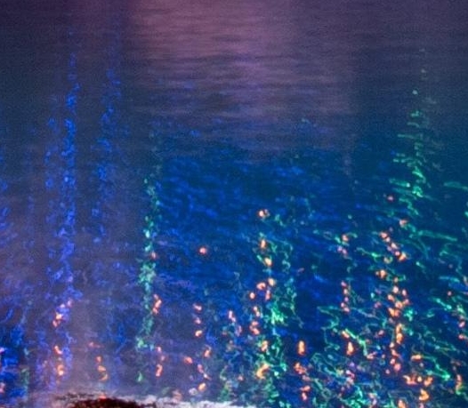 edamame歌词无删减