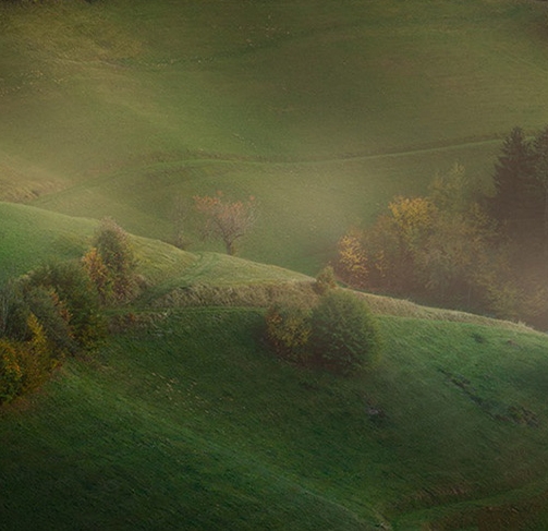 真爱餐厅朱雀路