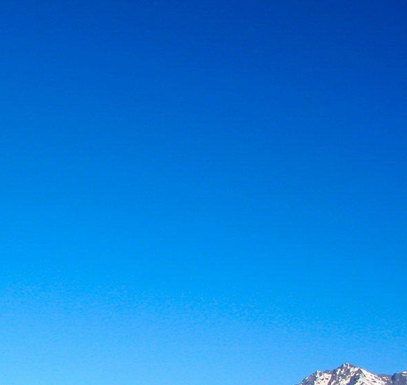 真爱中国餐馆贵不