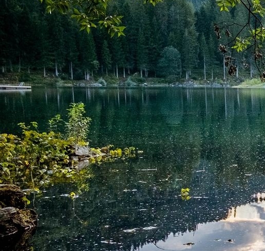 窗帘制作教程曾裕城