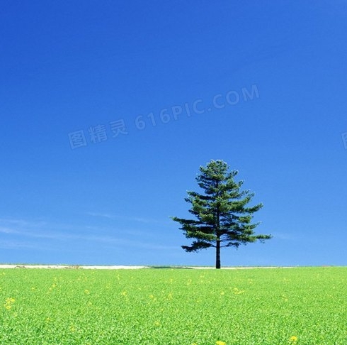 权游最讨厌人物排行榜