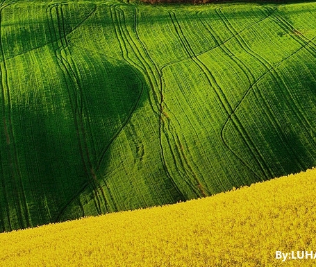 蒸烤箱一体机排名