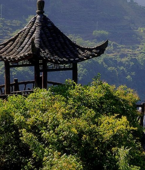 阅读历史