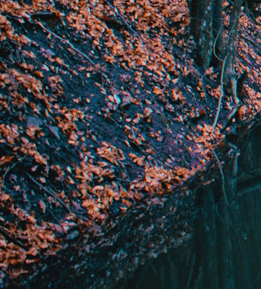 创意帽子图片