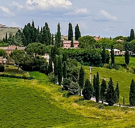 第五人格联动皮肤都有哪些