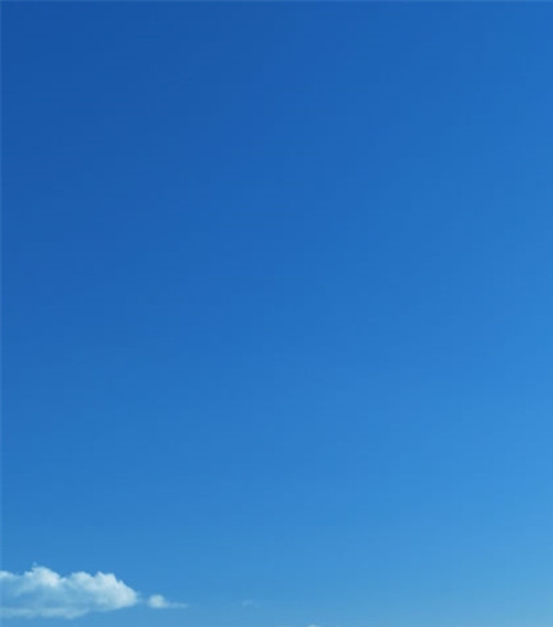 狐狸侦探社脑力测试