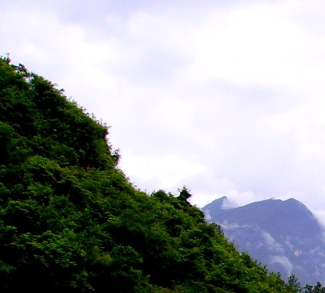 小众发色