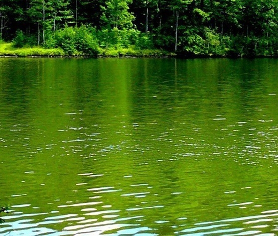 科技和技术的区别