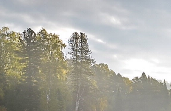 澳门大学和马来亚大学