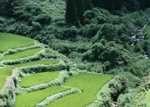 如何走出虚拟世界