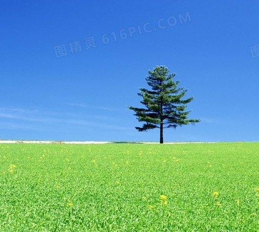 深圳维科技术股份有限公司