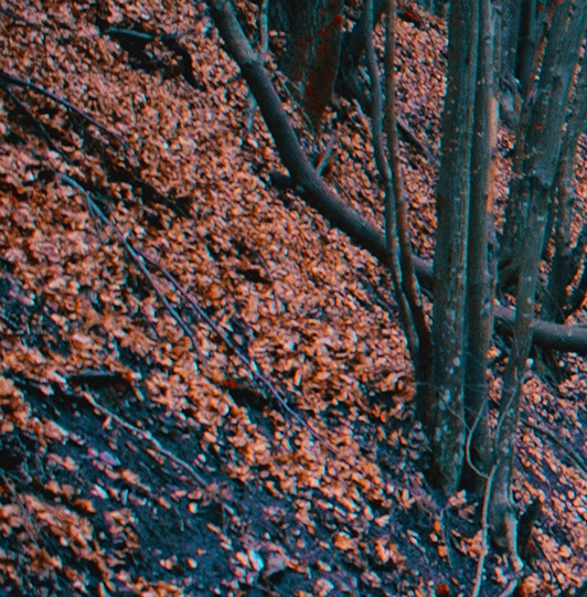 迷你世界联手凹凸世界，探索神秘的传送门