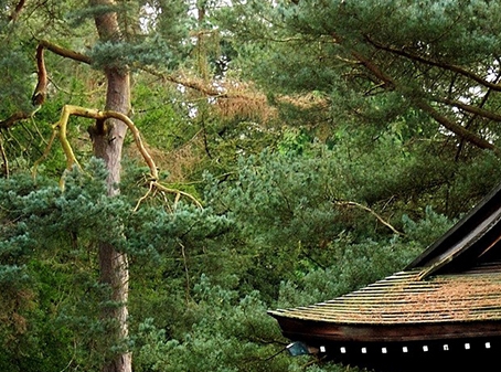 我的世界：从囚困到封闭的攻略