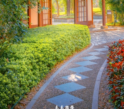 阿冠科技黑科技：深入解析意义与黑狗科技