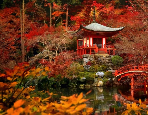 科技与狠活还是科技与狠话