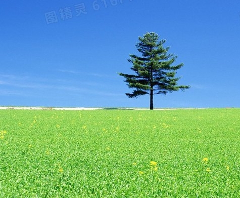 创意化妆价格实惠，参加创意化妆大赛，欣赏创意化妆图片大全！
