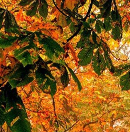 职场内卷的危害