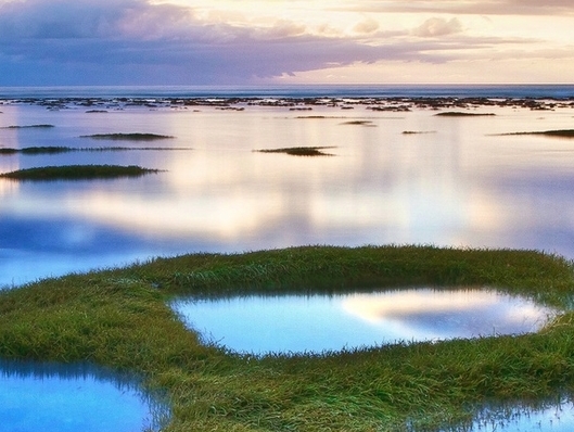 职场应聘面试问题