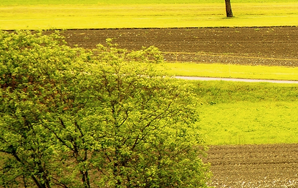 11400全核心睿频