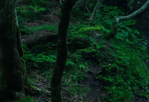 迷你世界拍戏视频恋爱