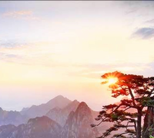 fm前场组织核心拖后组织核心