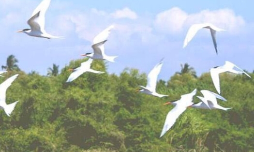 金融科技应用学什么