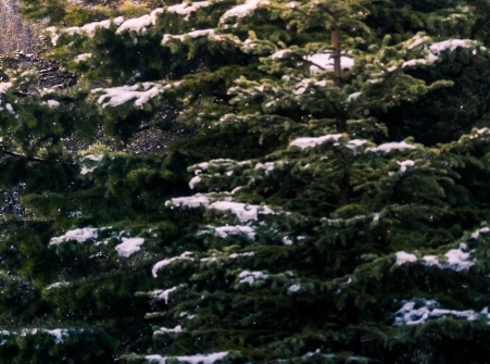 电商副业算社会实践吗