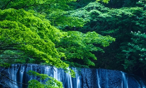 起落人生有没有这本书