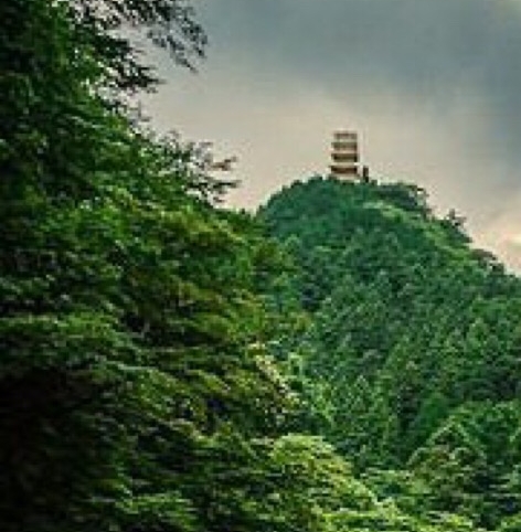 行政预算核心：年度费用预算表模板指南
