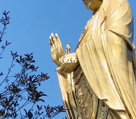 电商中间商：存在、去掉、合法？