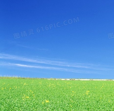 学生核心素养是啥