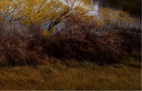 创意贴纸画手工作品一等奖