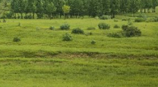 诸天世界的天道