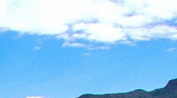 狮子世界冠军