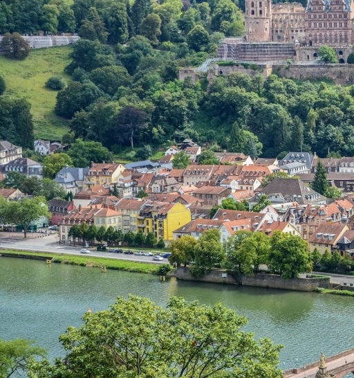 世界是刹那间的美梦