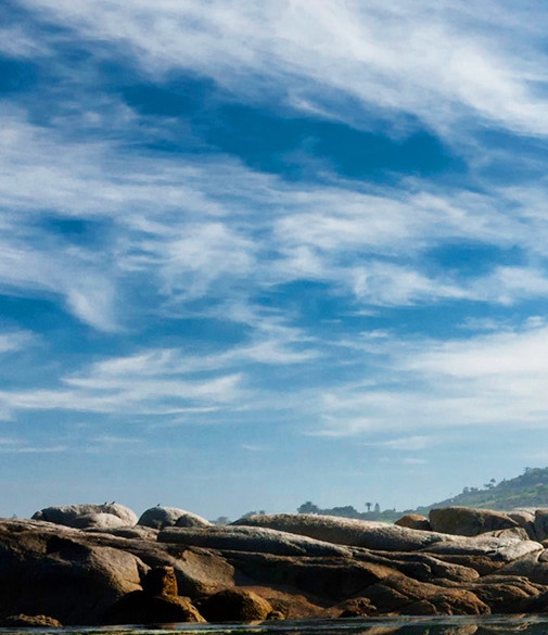 凯乐科技最新消息