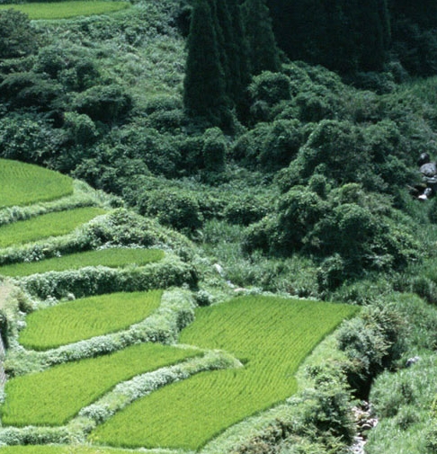 明日之后能量核心怎么洗