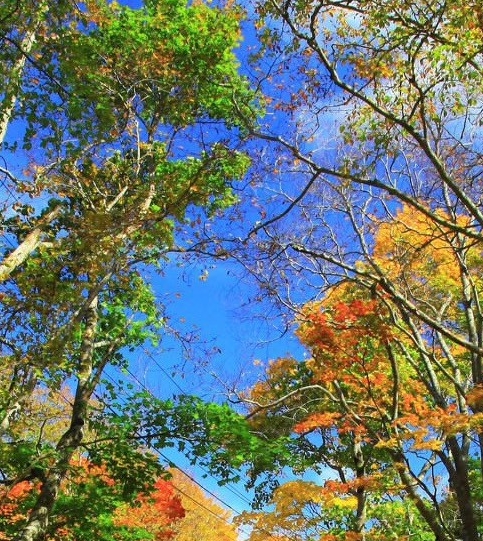消防宣传进影院