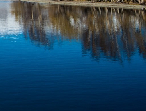 易电科技有限公司