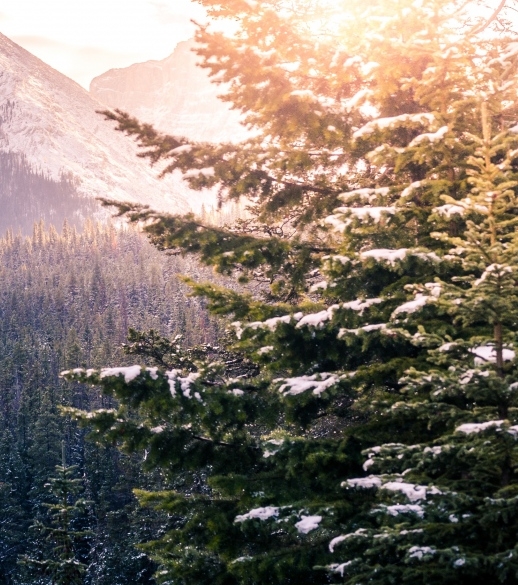 眼神科技集团