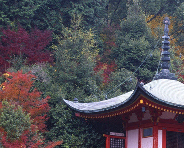 iqoo平衡世界