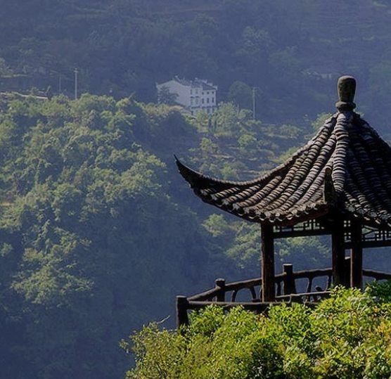 专业电商设计公司